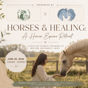 Horses & Healing: A Haven Equine Retreat